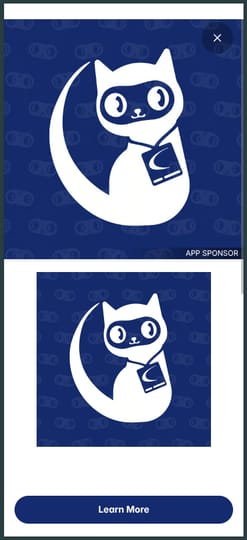 CONFlux app showing a full-screen custom sponsor splash page with branding and Learn More button